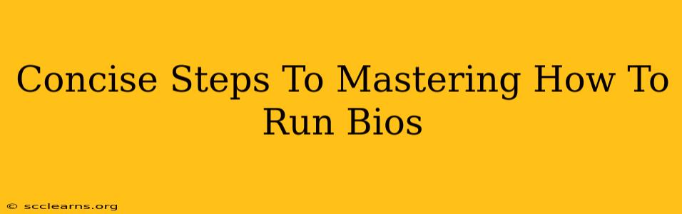 Concise Steps To Mastering How To Run Bios