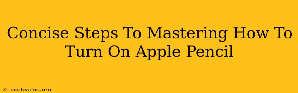 Concise Steps To Mastering How To Turn On Apple Pencil