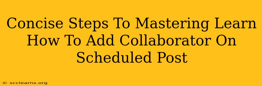 Concise Steps To Mastering Learn How To Add Collaborator On Scheduled Post