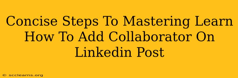 Concise Steps To Mastering Learn How To Add Collaborator On Linkedin Post