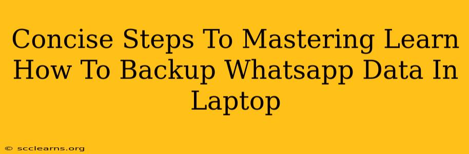 Concise Steps To Mastering Learn How To Backup Whatsapp Data In Laptop