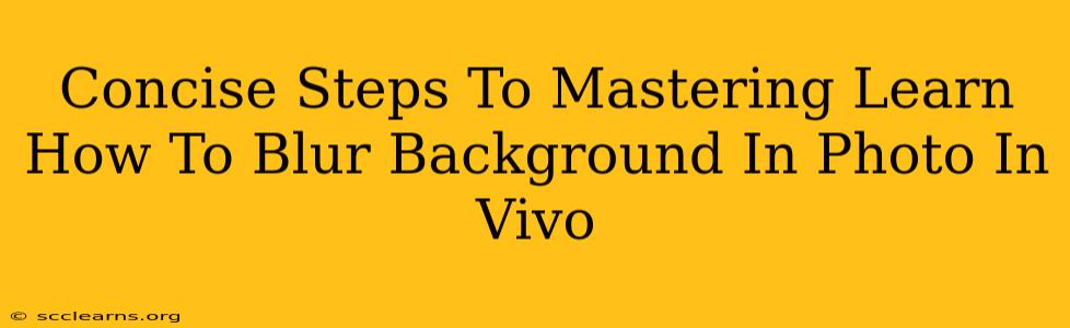 Concise Steps To Mastering Learn How To Blur Background In Photo In Vivo