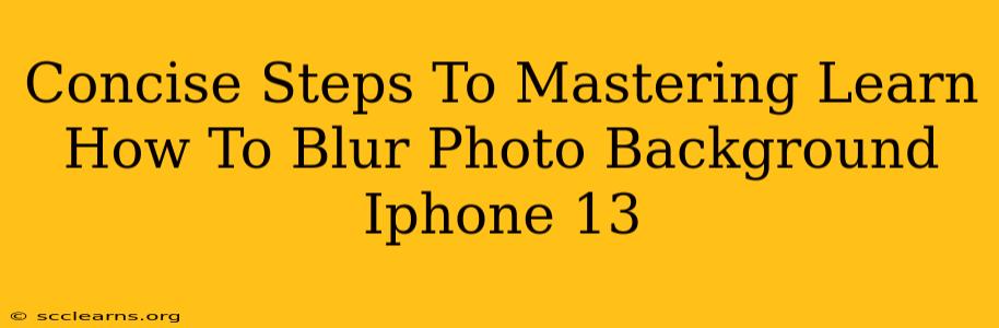 Concise Steps To Mastering Learn How To Blur Photo Background Iphone 13