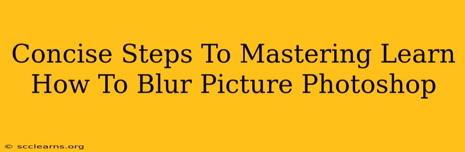 Concise Steps To Mastering Learn How To Blur Picture Photoshop