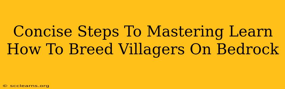 Concise Steps To Mastering Learn How To Breed Villagers On Bedrock