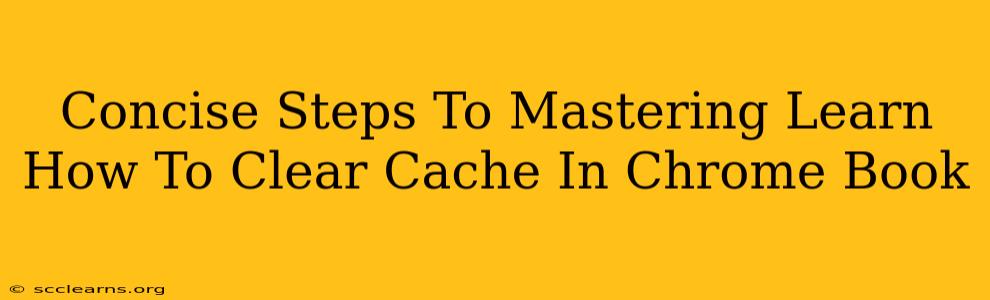 Concise Steps To Mastering Learn How To Clear Cache In Chrome Book