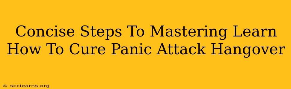 Concise Steps To Mastering Learn How To Cure Panic Attack Hangover