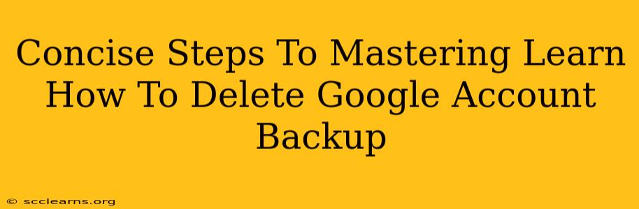 Concise Steps To Mastering Learn How To Delete Google Account Backup