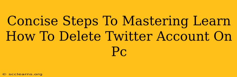 Concise Steps To Mastering Learn How To Delete Twitter Account On Pc