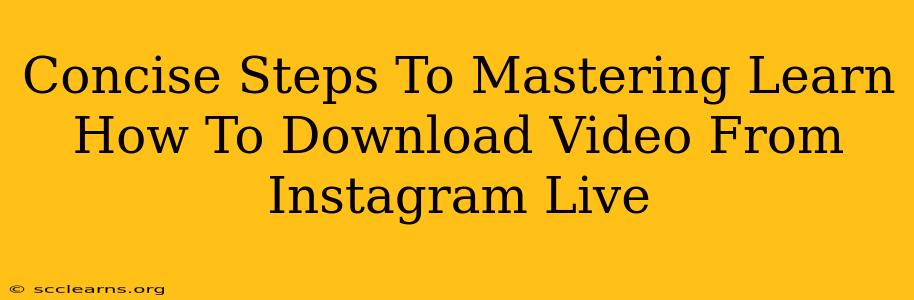 Concise Steps To Mastering Learn How To Download Video From Instagram Live