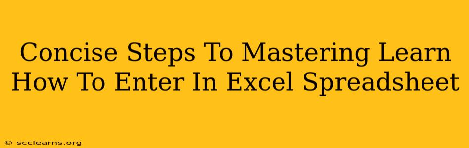 Concise Steps To Mastering Learn How To Enter In Excel Spreadsheet