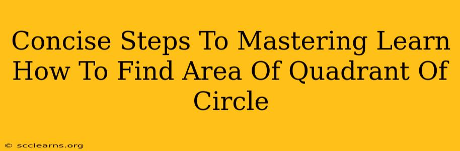 Concise Steps To Mastering Learn How To Find Area Of Quadrant Of Circle