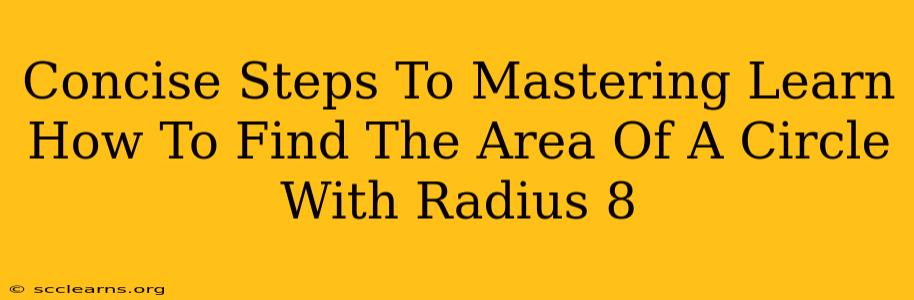 Concise Steps To Mastering Learn How To Find The Area Of A Circle With Radius 8