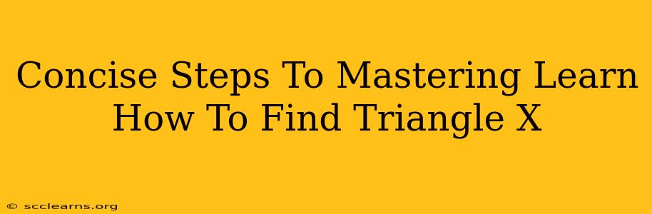 Concise Steps To Mastering Learn How To Find Triangle X