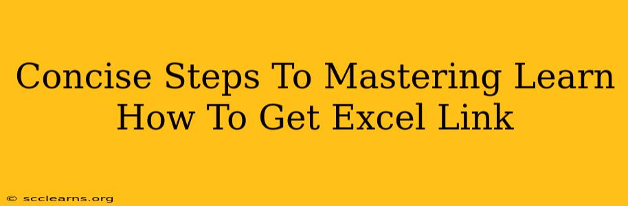 Concise Steps To Mastering Learn How To Get Excel Link