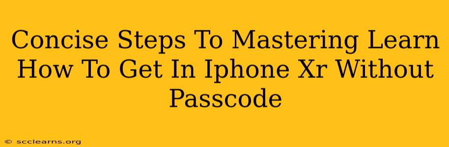 Concise Steps To Mastering Learn How To Get In Iphone Xr Without Passcode