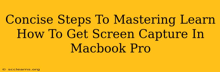 Concise Steps To Mastering Learn How To Get Screen Capture In Macbook Pro