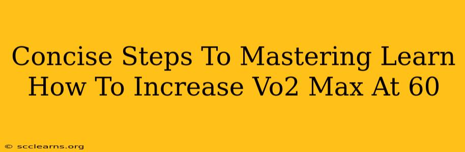 Concise Steps To Mastering Learn How To Increase Vo2 Max At 60