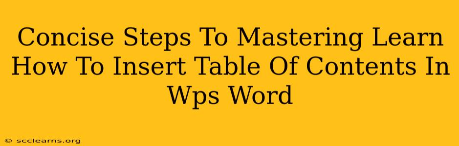 Concise Steps To Mastering Learn How To Insert Table Of Contents In Wps Word