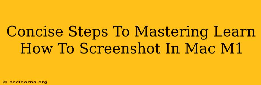 Concise Steps To Mastering Learn How To Screenshot In Mac M1