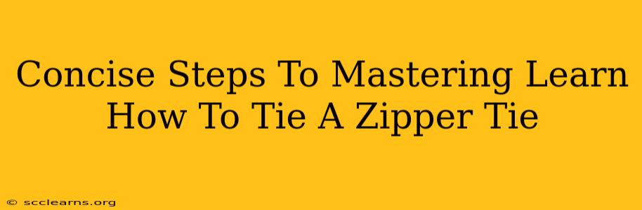 Concise Steps To Mastering Learn How To Tie A Zipper Tie