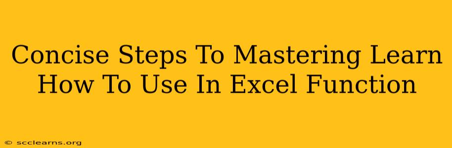 Concise Steps To Mastering Learn How To Use In Excel Function