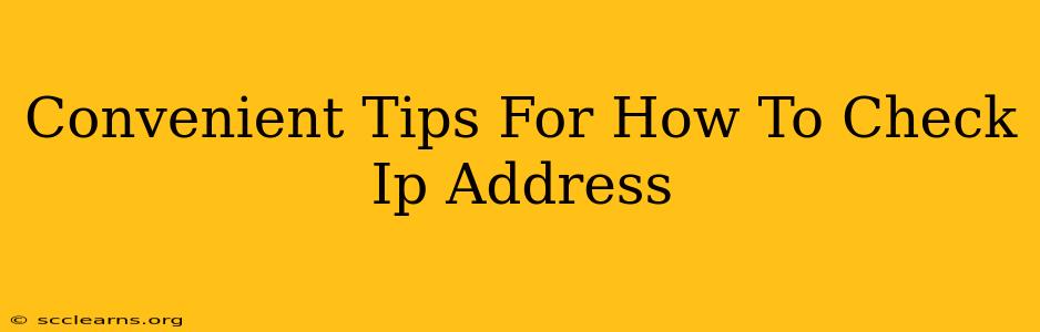 Convenient Tips For How To Check Ip Address