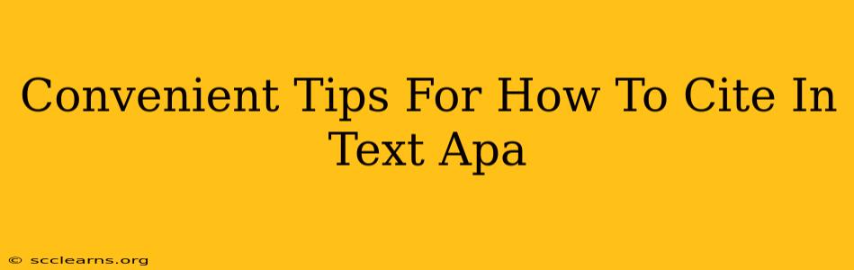 Convenient Tips For How To Cite In Text Apa