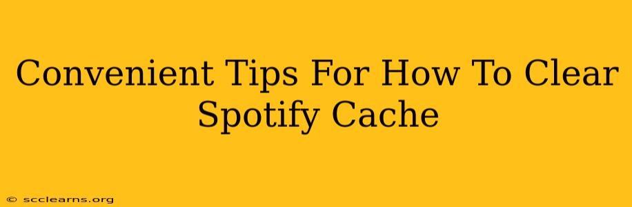 Convenient Tips For How To Clear Spotify Cache