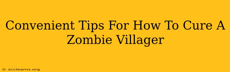 Convenient Tips For How To Cure A Zombie Villager