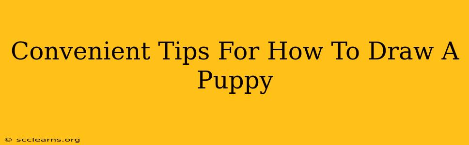 Convenient Tips For How To Draw A Puppy