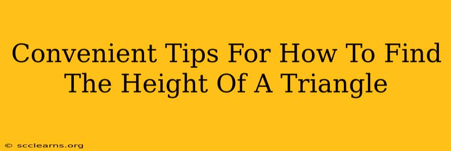 Convenient Tips For How To Find The Height Of A Triangle