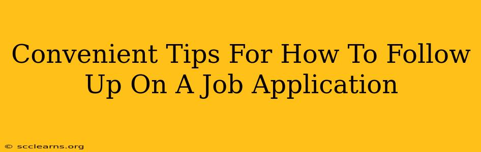 Convenient Tips For How To Follow Up On A Job Application