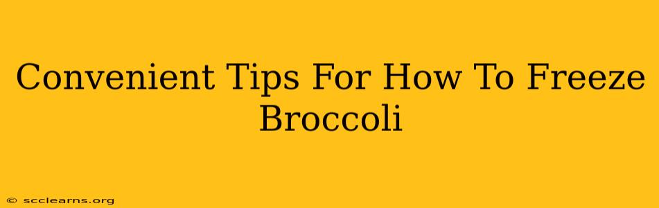 Convenient Tips For How To Freeze Broccoli