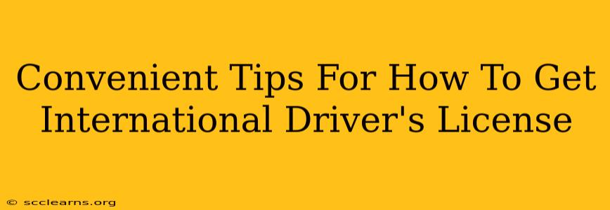 Convenient Tips For How To Get International Driver's License