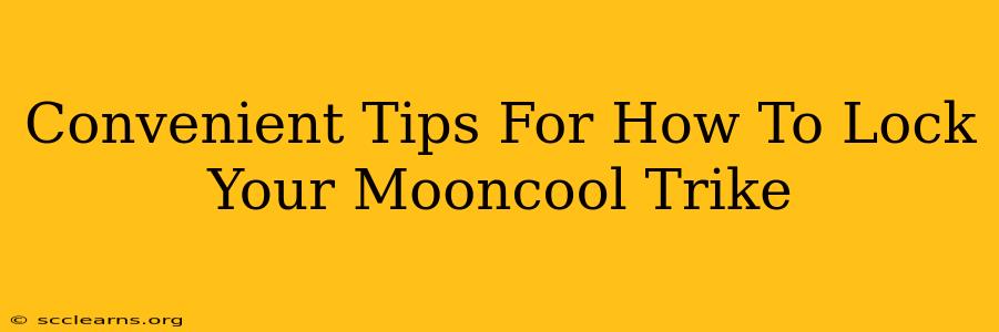 Convenient Tips For How To Lock Your Mooncool Trike