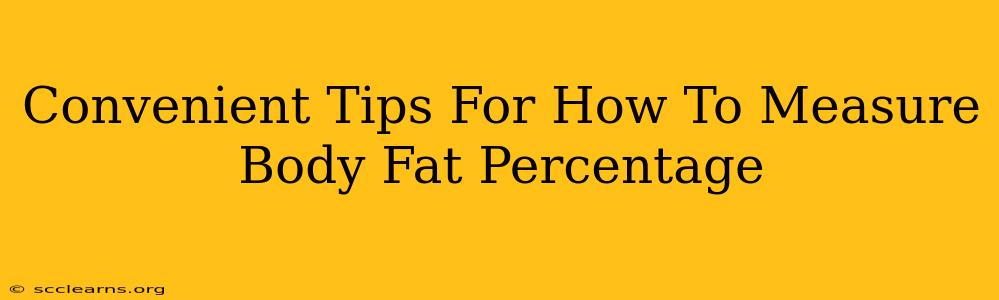 Convenient Tips For How To Measure Body Fat Percentage