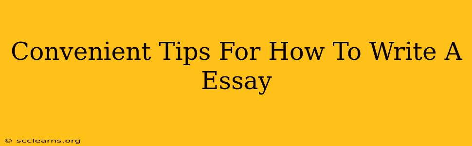 Convenient Tips For How To Write A Essay