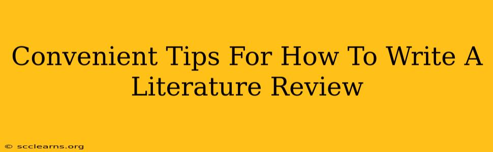 Convenient Tips For How To Write A Literature Review