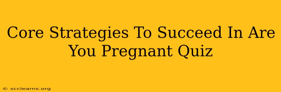 Core Strategies To Succeed In Are You Pregnant Quiz