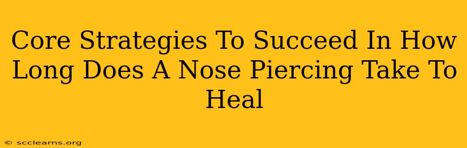 Core Strategies To Succeed In How Long Does A Nose Piercing Take To Heal