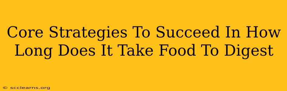 Core Strategies To Succeed In How Long Does It Take Food To Digest