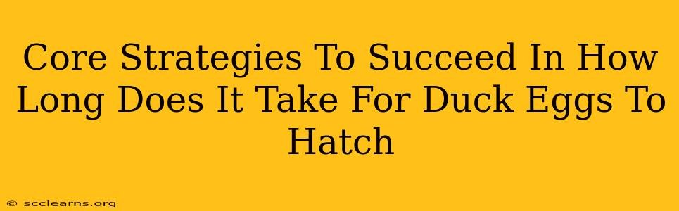 Core Strategies To Succeed In How Long Does It Take For Duck Eggs To Hatch