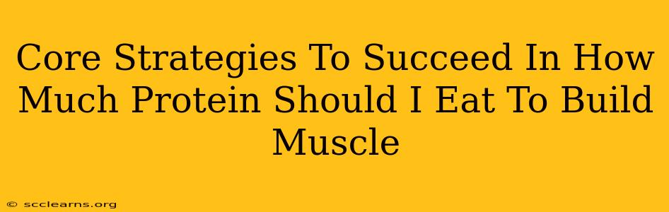 Core Strategies To Succeed In How Much Protein Should I Eat To Build Muscle