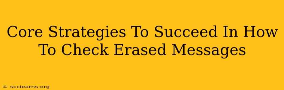 Core Strategies To Succeed In How To Check Erased Messages