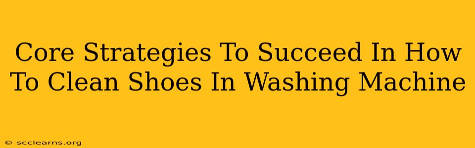 Core Strategies To Succeed In How To Clean Shoes In Washing Machine