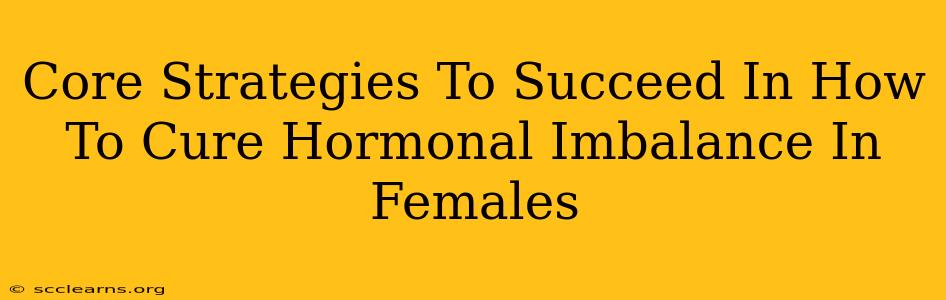 Core Strategies To Succeed In How To Cure Hormonal Imbalance In Females