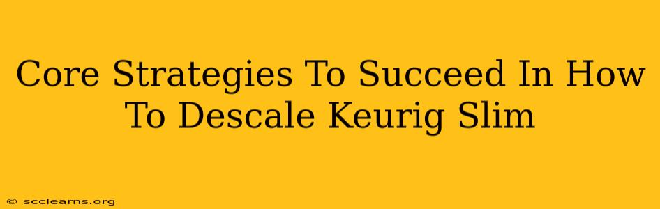 Core Strategies To Succeed In How To Descale Keurig Slim