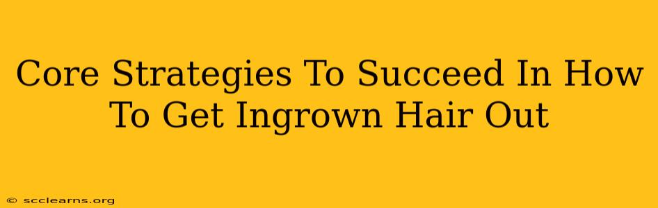 Core Strategies To Succeed In How To Get Ingrown Hair Out