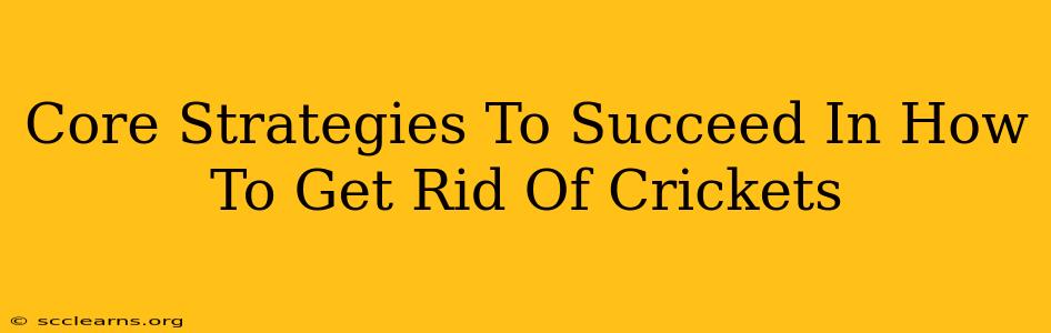 Core Strategies To Succeed In How To Get Rid Of Crickets